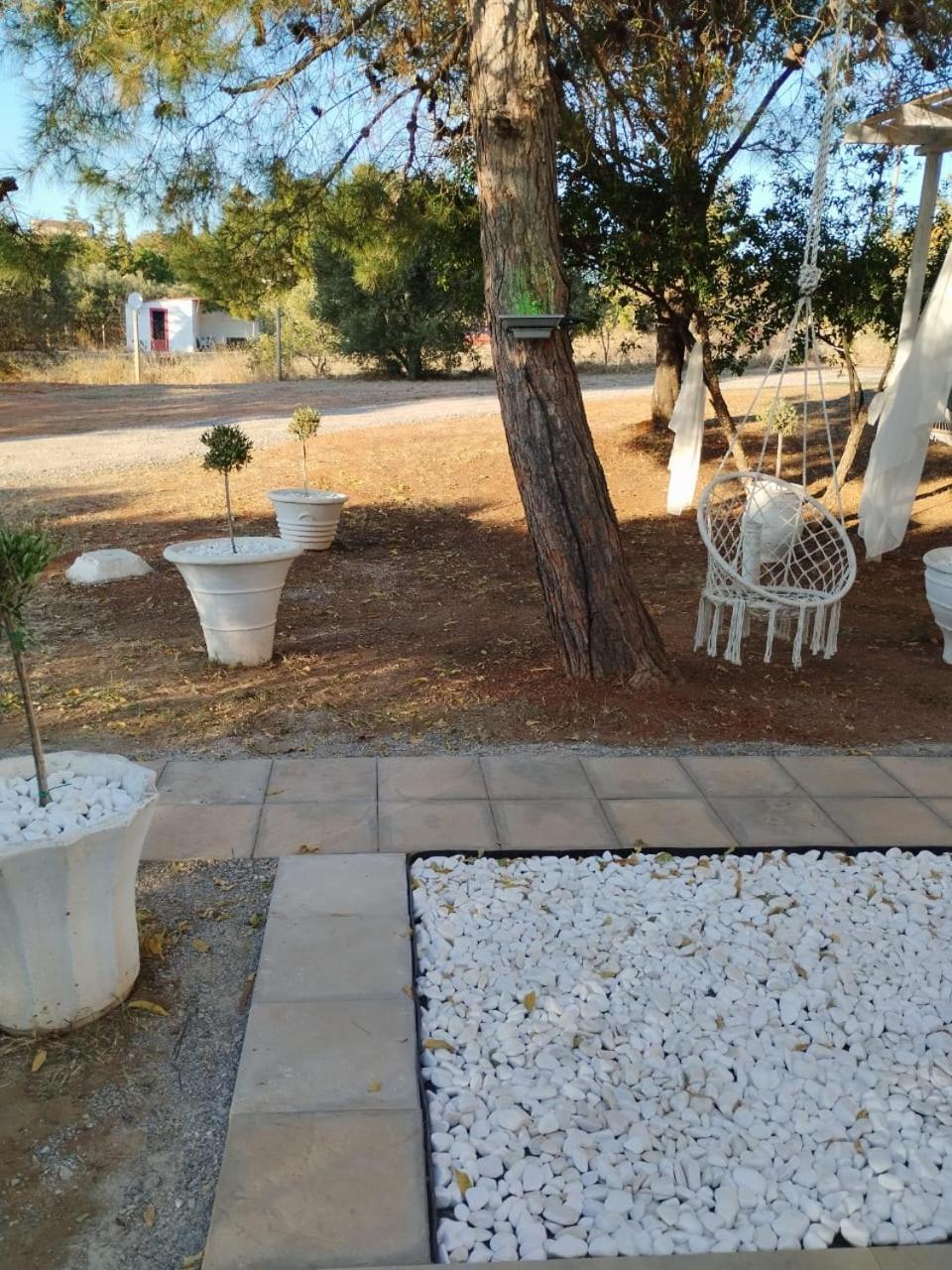 Black N' White Cozy Housegarden อเล็กซานโดรโพลิส ภายนอก รูปภาพ