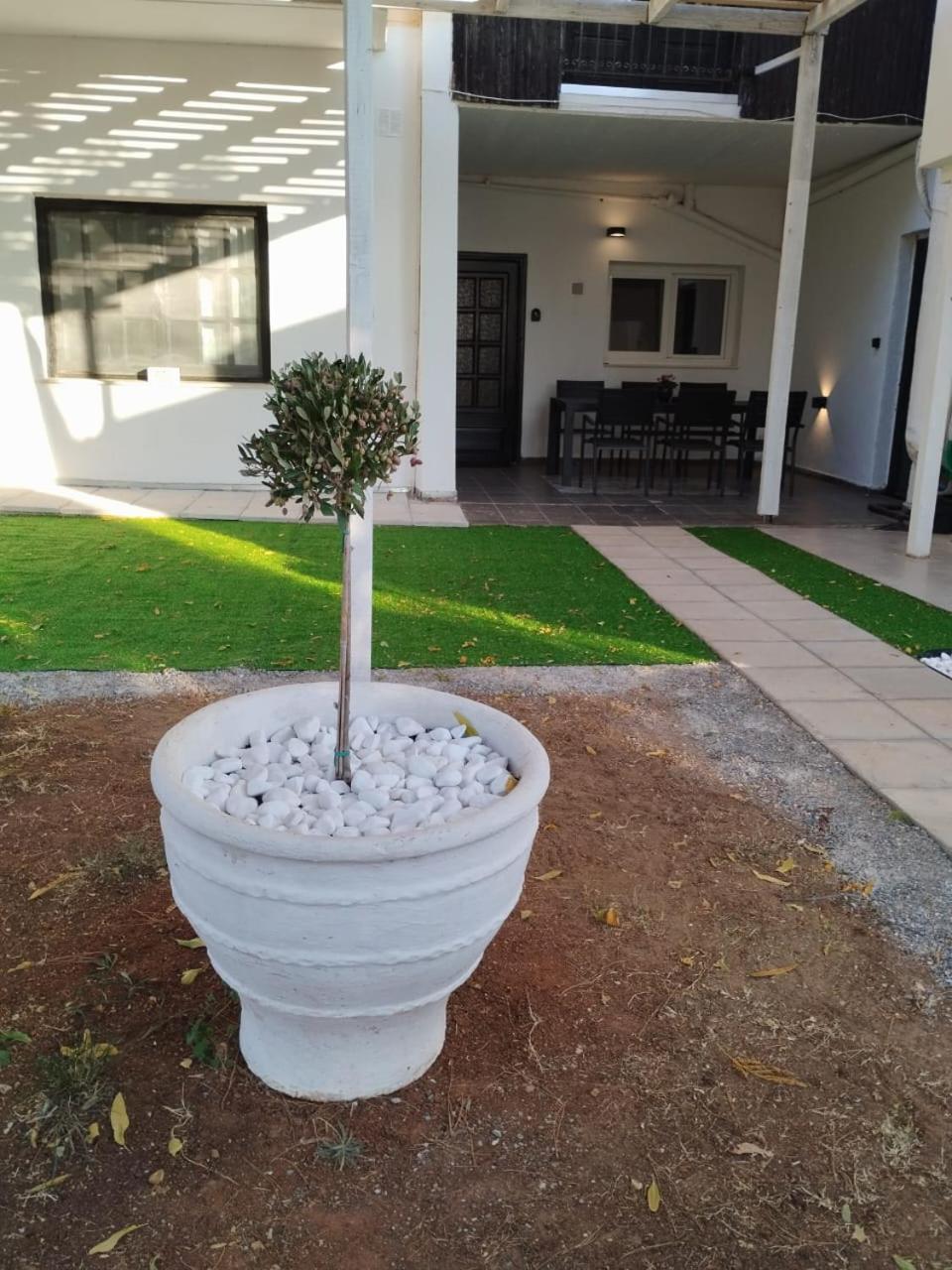 Black N' White Cozy Housegarden อเล็กซานโดรโพลิส ภายนอก รูปภาพ